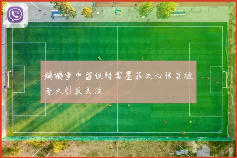 鹈鹕重申留住特雷墨菲决心传言被夸大引发关注